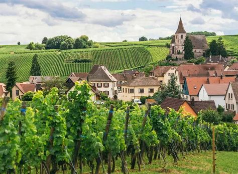 Something New Everyday, Burgundy France, Regions Of France, Romanesque Architecture, Learn Something New Everyday, Bon Weekend, Sainte Marie, Learn Something New, Loire Valley