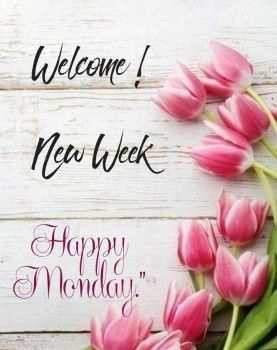 Happy Monday Happy New Week, New Week Quotes Mondays, Happy New Week Mondays, Happy New Week Images, Monday Wishes New Week, Good Morning Happy Monday New Week, Monday New Week Quotes, New Week Blessings Happy Monday, Happy Monday Morning Beautiful