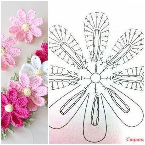 Types Of Crochet Flowers, How To Crochet Flowers Free Pattern, Crochet Cosmos Flower Pattern, Crochet Flower Motifs Free Pattern, Crochet Flat Flower, Knitted Flowers Free Pattern Easy, Crochet Flower Diagram, Crochet Flowers Pattern, Easy Crochet Flower