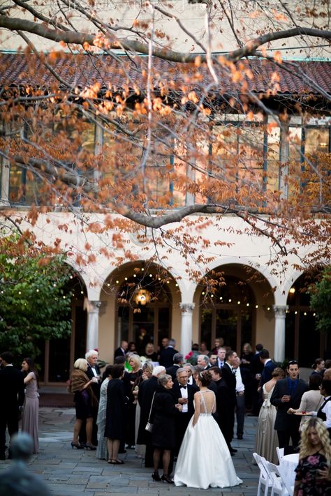 Twentieth Century Club Wedding Photography – Buffalo, NY Cheap Nyc Wedding Venues, Twin Cities Wedding Venues, Buffalo Wedding Venues, Buffalo Botanical Gardens Wedding, Buffalo History Museum Wedding, Buffalo Ny Wedding, Buffalo Wedding, Artistic Wedding, Unique Wedding Venues