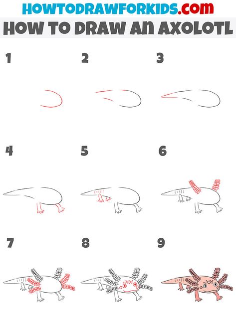 how to draw an axolotl step by step Axolotl Drawing Tutorial, How To Draw An Axolotl Step By Step, How To Draw Axolotl Easy, Axolotl Activities For Kids, How To Draw Axolotl, How To Draw A Axolotl, How To Draw An Axolotl, Axolotl Drawing Easy, Draw An Axolotl