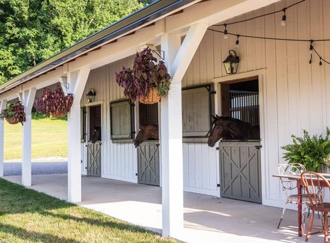 Home Horse Stable, Small Animal Barn Ideas, 3 Stall Horse Barn Plans, Horse Barn Aesthetic, Animal Barn Ideas, Small Stable Ideas, Barn Office Ideas, Small Horse Barn Ideas, Horse Stall Ideas Diy