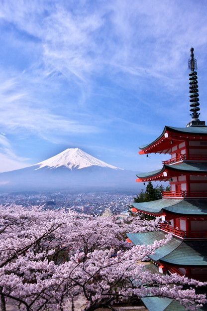 the World Heritage, Mt. Fuji, Japan 富士山 - Double click on the photo to Design & Sell a #travel itinerary to #Japan at www.guidora.com Gunung Fuji, Mt Fuji Japan, Fuji Japan, Monte Fuji, Mont Fuji, Have Inspiration, Mt Fuji, Mount Fuji, Maneki Neko