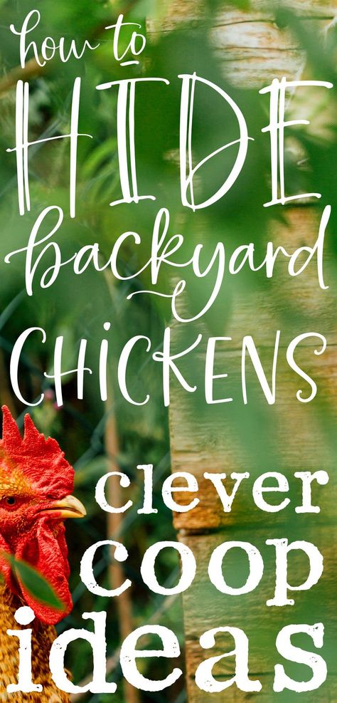 a rooster peeking from behind green leaves near a concealed backyard chicken coop with text that reads how to hide backyard chickens clever coop ideas Chicken Keeping Ideas, Chicken Coop Building Plans, Chicken Flock, Raising Chicks, Chicken Keeping, Out Of Mind, Black Chickens, Chicken Coop Run, Coop Design