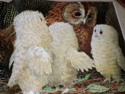 Patrick Benson, Owl Babies (written by Martin Waddell) Incredible Paintings, Owl Babies, Children's Book Characters, Whimsical Owl, Owl Illustration, Owl Collection, Nocturnal Animals, Show Me The Way, Childrens Books Illustrations