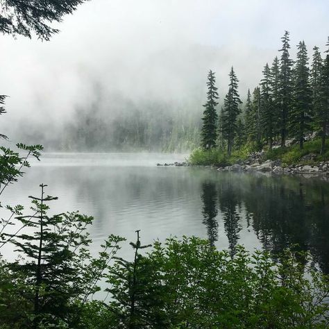 Quiet Photography, Mountain Lake Painting, Foggy Lake, Pathfinder Game, Enchanted Lake, Dark Forest Aesthetic, Lake Washington, Wood Core, Lake Photography