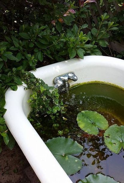 gardening clawfoot tub pond repurpose, gardening, ponds water features Bathtub Water Garden, Bathtub Pond, Bath Tub Garden, Greenhouse Pond, Tub Pond, Pond Habitat, Garden Bathtub, Backyard Table, Large Cottage