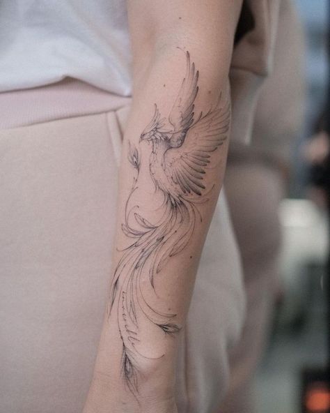 Phoenix Tattoo Placement For Women, Women Tattoo Shoulder, Fineline Phoenix Tattoo, Pheinox Bird Tattoo, Phoenix Tattoo Harry Potter, Harry Potter Pheonix Tattoo For Women, Phoenix Tattoo Ankle, Phoenix Line Tattoo, Harry Potter Phoenix Tattoo