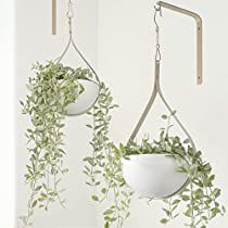 Check this out! Plant Hangers Indoor The Home Depot, Macrame Plant Hanger For Bathroom, Hanging Plants Behind Tv, Hanging Plants Above Door, Metal Wall Hangers For Plants, Pot Plant Hanger, Macrame Wall Hanging Pots & Planters, Wall Plant Hangers Indoor Metal, Macrame Plant Hanger In Kitchen