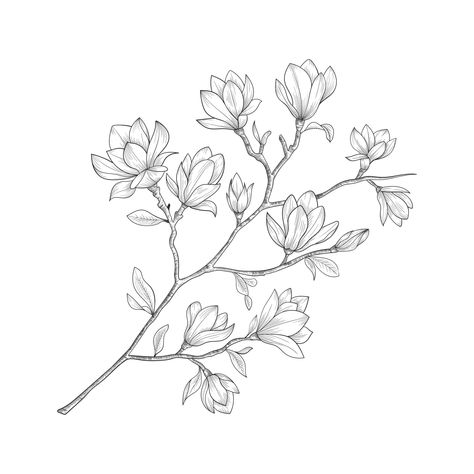 Line Drawn Flowers, Tree Tattoo Black, Leaves Drawing, Magnolia Tattoo, Flower Tattoo Drawings, Floral Wreath Watercolor, Flower Outline, Magnolia Flowers, Cute Little Tattoos