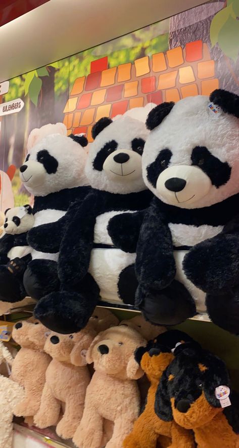 toys store aesthetic Panda Stuff Toy, Panda Soft Toy, Sharpen Aesthetic Theme, Love Panda, Travel Picture Ideas, Cute Squishies, Stuff Animals, What To Do When Bored, Cute Panda Wallpaper