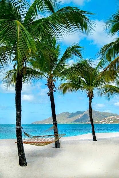 Photo - Google Photos Saint Vincent And The Grenadines, Palm Island, Saint Vincent, Tropical Beaches, Island Resort, Caribbean Islands, Seychelles, Vacation Spots, Dream Vacations