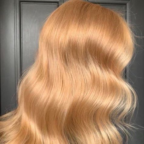 Pink Honey Blonde Hair, Ginger Gloss On Blonde Hair, Strawberry Blonde Honey Hair, Strawberry Gold Blonde Hair, Extra Light Golden Blonde Hair, 2023 Strawberry Blonde, Different Shades Of Strawberry Blonde, Lemon Honey Blonde Hair, Blonde Hair Color Ideas Golden