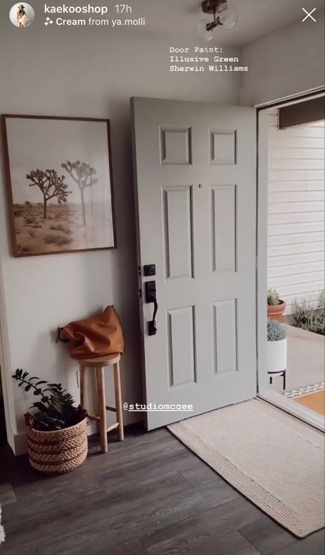 Love this Illusive Green ❤️ Green Front Door Inside, Grey Green Doors Interior, Front Door Colors Inside, Colored Interior Doors, Illusive Green, Mudd Room, Interior Door Colors, Grey Interior Doors, Painted Interior Doors