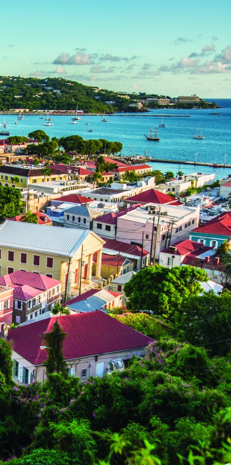 Charlotte Amalie St Thomas, St. Thomas, Tropical Caribbean, Charlotte Amalie, St Thomas Virgin Islands, Vacation 2024, Christmas Cruise, 2023 Mood, Virgin Island