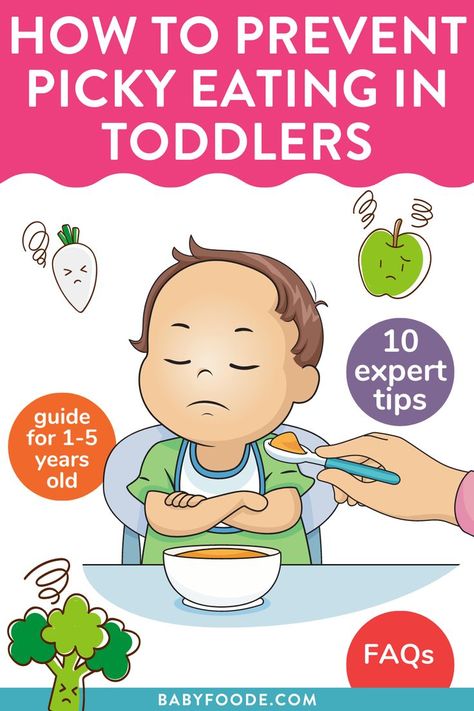 10 Month Old Food, Toddler Picky Eater, Picky Toddler Meals, Picky Toddler, Picky Eating, Kids Lunchbox, Picky Eater Recipes, Toddler Meals, Picky Eaters