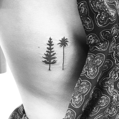 Cali grown, Southern belle. Thank you @michele_win - kickass at UNC! @frank_eighthelement @eighthelementtattoo #eighthelementtattoo #pinetree #pinetreetattoo #palmtree #palmtreetattoo Tree Tattoo Ideas, Evergreen Tree Tattoo, Pine Tattoo, Coordinates Tattoo, Tattoo Tree, Family Tree Designs, Father Tattoos, Pine Tree Tattoo, Palm Tree Tattoo