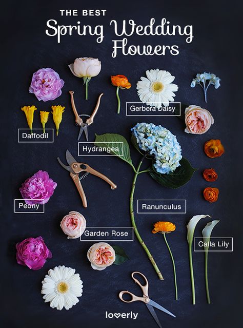 Bouquet Inspiration: The Best Spring Wedding Flowers || Lover.ly Wedding November, 21 November, April Wedding, Flower Guide, Beautiful Bouquets, November Wedding, Spring Wedding Inspiration, Spring Wedding Flowers, Diy Wedding Flowers