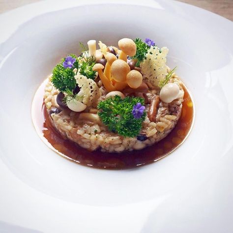 1,845 Likes, 7 Comments - Linking the Culinary World (@cookniche) on Instagram: “Mushroom Risotto by @chef_wuttisak  FOLLOW @cookniche for Culinary inspirations  Create a…” Fine Dining Vegan, Fine Dining Plating, Food Presentation Plates, Dessert Chef, Food Plating Techniques, Fine Dining Recipes, Mushroom Risotto, Gordon Ramsay, Culinary Arts