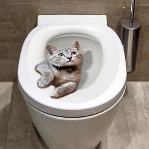 Bathroom Toilet Decor, Toilet Stickers, Toilet Stool, Bathroom Wall Stickers, Wall Sticker Design, Wall Stickers 3d, Cat Toilet, Decor Baie, Toilet Wall