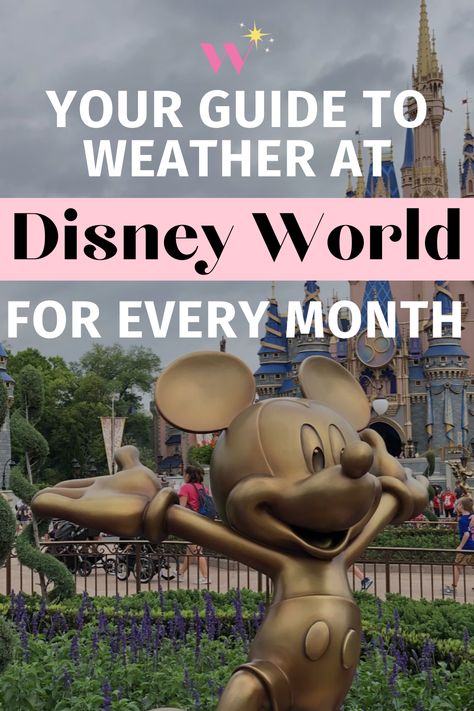 Disney Weather Chart, Disney World November, Disney Guide, Caribbean Holiday, Weather Chart, Florida Weather, Disney World Vacation Planning, Disney Trip Planning, Disney World Planning