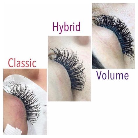 Best Eyelash Supplier_ Angela on Instagram: “volume ,hybrid and classic 👍👍 : #russianvolume #russianvolumelashes #volumelashes #lashmaker #lashartist #classiclashes #lashlove…” Long Lashes Mascara, Eyelash Extensions Salons, Lash Extentions, Eyelash Technician, Lash Extensions Styles, Eyelash Extensions Styles, Perfect Eyelashes, Volume Eyelash Extensions, Eyelash Extentions