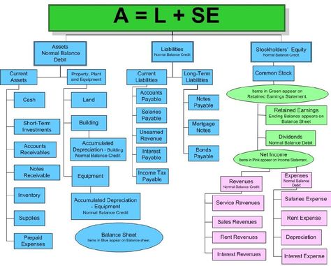 Accounting Equation, Accounting Notes, Basic Accounting, Bookkeeping Course, Learn Accounting, Accounting Cycle, Accounting Classes, Accounting Career, Accounting Degree