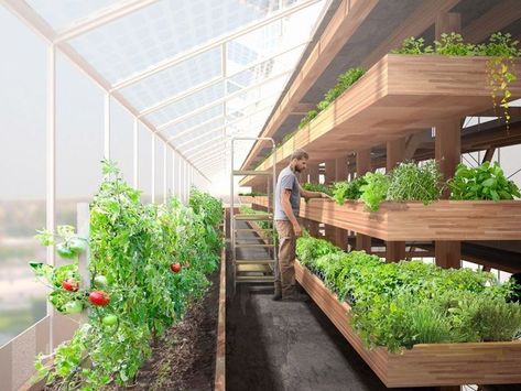 Farming Ideas, Greenhouse Farming, Roof Gardens, Aquaponics Diy, Vertical Farming, Urban Agriculture, Vertical Gardens, Aquaponics System, Tower Design