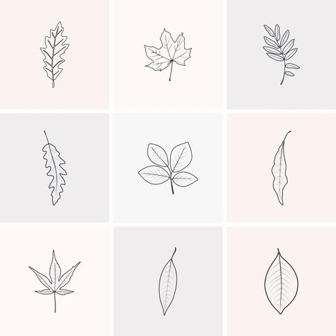 Simple Autumn Tattoo, Single Leaf Tattoo, Autumn Leaf Tattoo, Autumn Leaves Tattoo, Autumn Line Art, Sketchbook Fillers, Fall Leaves Tattoo, Autumn Vector, Sticker Sleeve