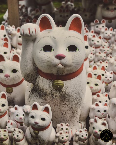 Gotokuji Temple - Visit the temple full of Maneki Neko (Lucky Cat) in Tokyo, Japan  #Gotokuji #Temple #Japan #Tokyo #ManekiNeko #Travel #Blog #Asia #AsianWanderlust Lucky Cat Aesthetic, Gotokuji Temple, Bast Goddess, Famous Landscape Paintings, Japan Cat, Memoirs Of A Geisha, Neko Cat, Cat Stands, Ragdoll Kitten