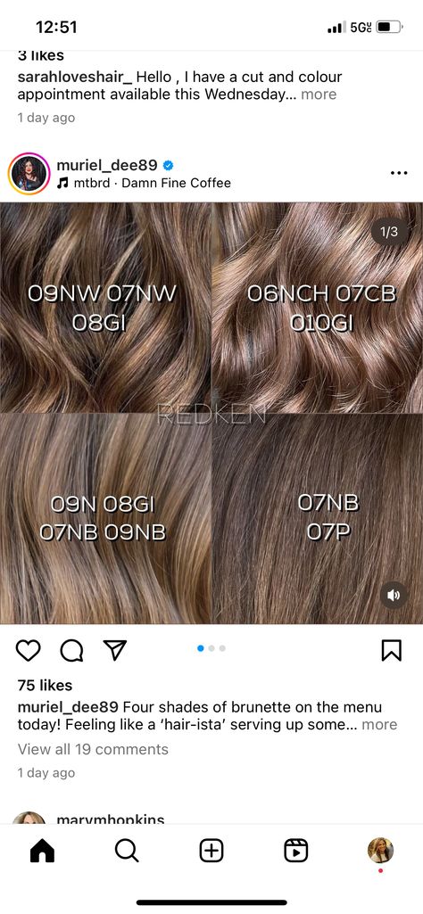 Color Chart Hair, Caramel Balayage Shades Eq Formula, 6wg Shades Eq, Mushroom Bronde Formula Shades Eq, Brown Hair Color Formulas, Light Brown Formula, Warm Honey Balayage, Shades Eq Caramel Toner Formulas, Redkin Eq Shades Formulas Brown