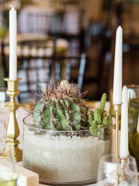 Cactus Wedding Centerpieces, Cactus Centerpieces, Desert Themed Wedding, Western Wedding Cakes, Cactus Centerpiece, Western Wedding Decorations, Succulent Wedding Centerpieces, Western Wedding Invitations, Expensive Flowers