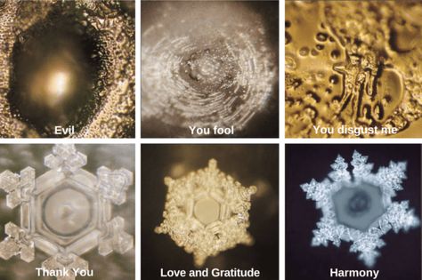 Introduction to Sound Alchemy (pt 1) | by SOULYLIGHT | Samadhi.today | Medium Masaru Emoto Water, Masaru Emoto, Emotional Vampire, Negative Words, Structured Water, Naturopathic Doctor, Things Under A Microscope, Power Of Positivity, Get Happy