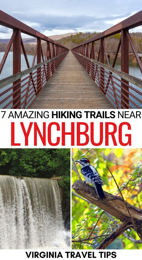 Things To Do In Lynchburg Va, Middleburg Va, Appomattox Virginia, Virginia Hikes, Hiking Near Williamsburg Va, Lynchburg Virginia, Virginia Beach Vacation, Weekend Hiking, East Coast Travel