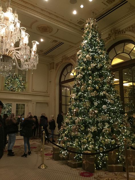 The Plaza Hotel Nyc Christmas, Christmas At The Plaza, Nyc Christmas Aesthetic, Lux Christmas, Nyc Xmas, Plaza Hotel New York, The Plaza Hotel Nyc, Hotel Christmas, Blurry Pics