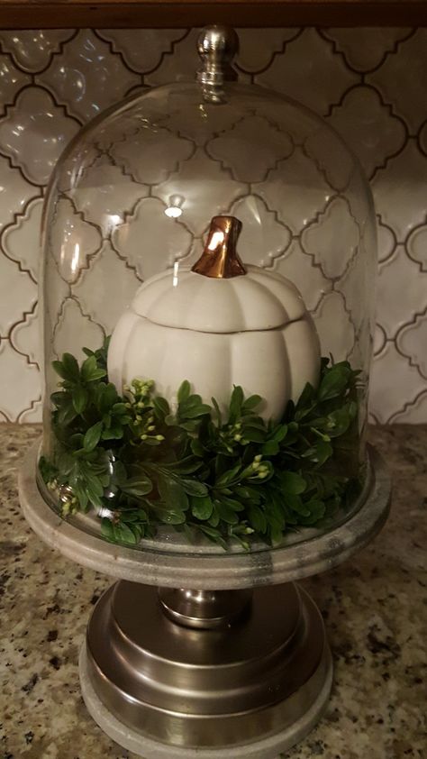 Fall Cloche Ideas Glass Domes, Dome Centerpieces, Cheese Dome Decor, Fall Cloche Ideas, Cake Dome Decor, Cloches Decor Ideas, Pumpkin Styling, Pedestal Decor, Plate Centerpiece