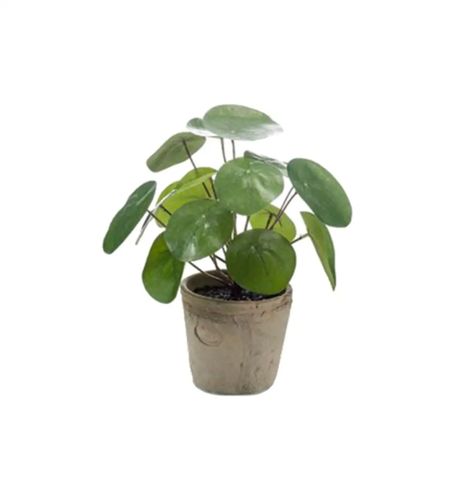 Rustic Terracotta Pots, Ficus Pumila, Pilea Peperomioides, Chinese Money Plant, Artificial Potted Plants, Money Plant, Plastic Planters, Artificial Leaf, Money Trees