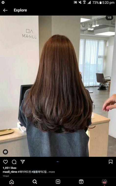 Soft U Shape Haircut, Haircut No Layers Long, Haircut Inspo No Layers, Long Layer U Shape Haircut, Butterfly Layers Straight Hair, Minimal Long Layers, Long Brown Hair Ideas, Straight Hair Curly Ends, U Shape Long Layers