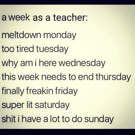 Funny Teacher Quotes Humor, Staff Meeting Humor, Teacher Burnout Quotes, Bad Teacher Quotes, Teacher Humor Funny, Teaching Quotes Funny, Teacher Schedule, Teacher Message, Special Education Teacher Quotes