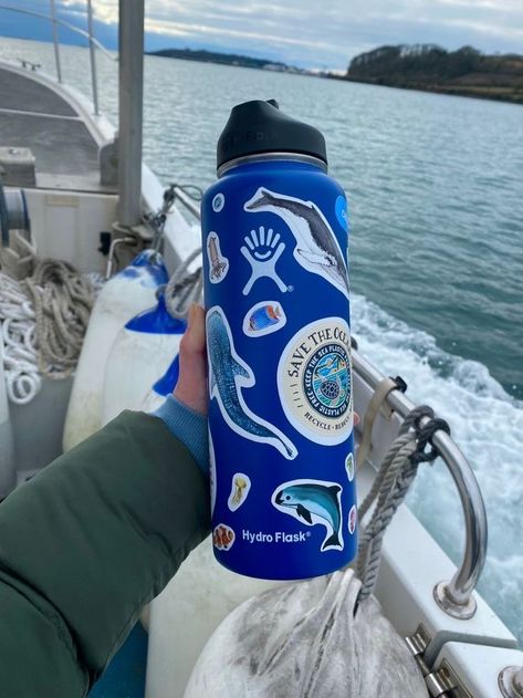 Oceanography Marine Biology, Beachy Aesthetic, Ocean Aesthetic, Plastic Water Bottles, Marine Biologist, Oceanography, Ocean Vibes, Marine Biology, Marine Animals