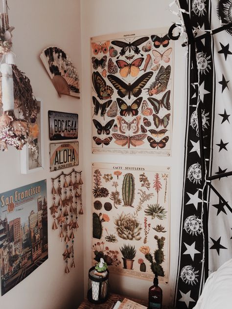 Room goals//butterflies//cacti//boho room Moth Bedroom Decor, Moth Room Decor, Bug Bedroom Ideas, Earthy Room, Butterfly Bedroom, Nerd Room, College Dorm Room Decor, Pinterest Contest, Room Ideas Aesthetic