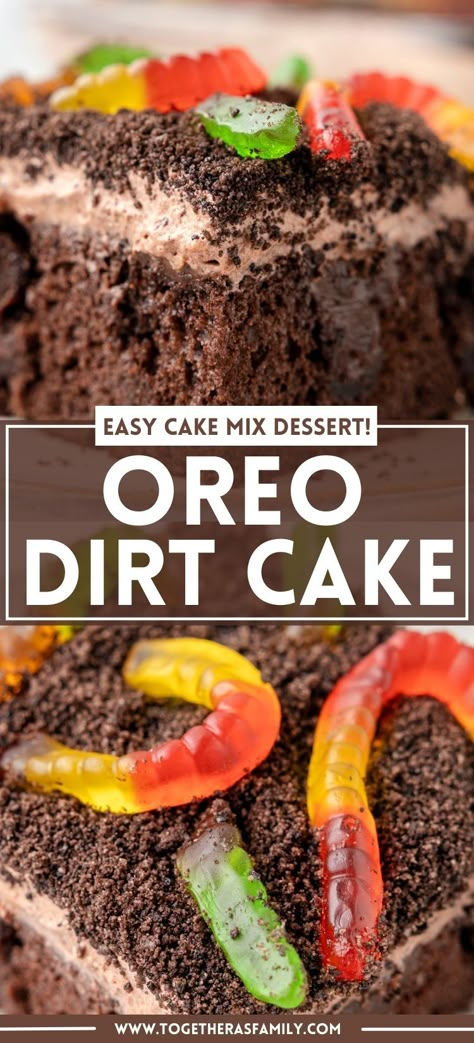 Mud Cake With Worms, Chocolate Cake And Pudding Dessert, Chocolate Oreo Dirt Cake, Oreo Dirt Poke Cake, Dirt With Worms Dessert, Dirt Cake Gummy Worms, Smores Dirt Cake, Oreo Gummy Worms Dirt Dessert, Dirt Cup Birthday Cake