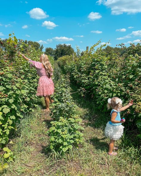 Fruit picking season is among us 🫐🍓🍒🍑 Give me all the fresh berries and peaches 🤍 #fruitpicking #blueberrypicking #peachpicking #summertime #summer #midwest #indiana #michigan #visitindiana #puremichigan Picking Berries, Peach Picking, Picking Fruit Aesthetic, Blackberry Picking Aesthetic, Blackberry Picking, Blueberry Picking, Fruit Picking, Berry Picking, Fresh Berries