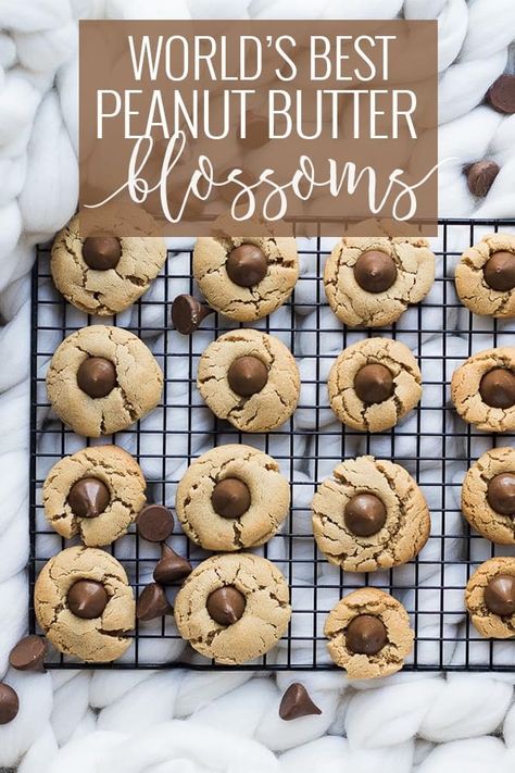 Kiss Cookie Recipe, Peanut Butter Blossoms Recipe, Chocolate Hershey, Peanut Butter Blossom, Peanut Butter Kiss, Peanut Butter Kiss Cookies, Peanut Blossoms, Smores Dessert, Peanut Butter Blossom Cookies