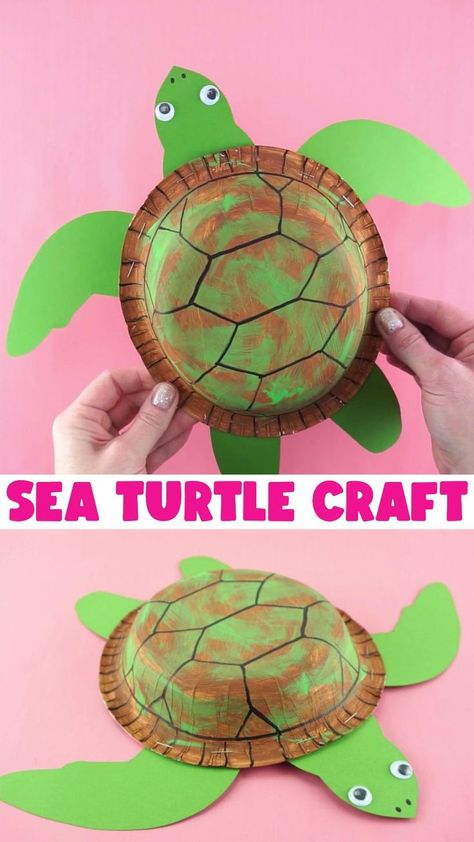 Sea Turtle Craft, Paper Turtle, Turtle Craft, Under The Sea Crafts, Babysitting Crafts, Paper Bowl, Turtle Crafts, Craft Kids, Sea Crafts