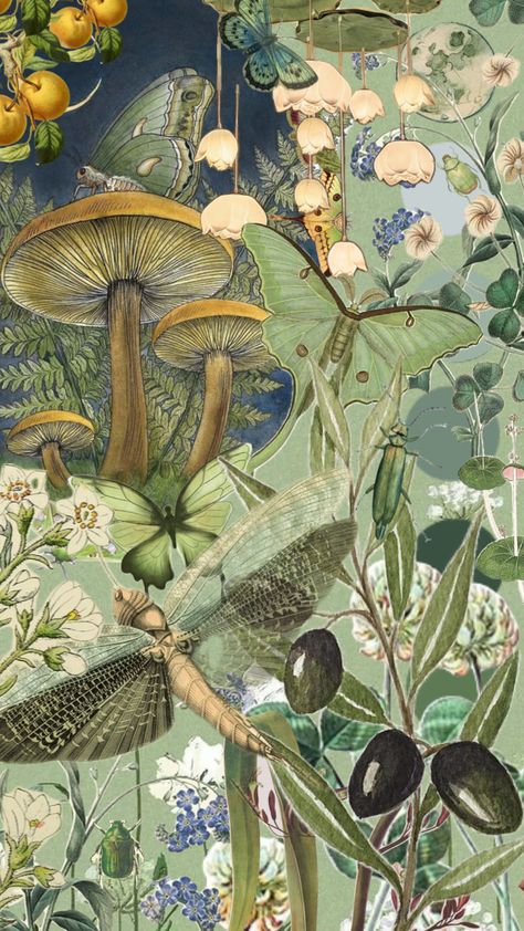 Plant Bugs, Mushroom Wallpaper, Fairy Paintings, Pretty Phone Wallpaper, Aesthetic Nature, Cottage Core Aesthetic, Nature Plants, Green Nature, Flowers Plants