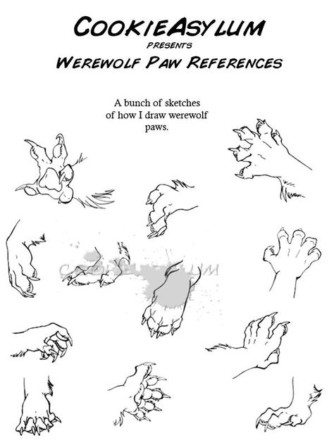 Dragon Paws Reference, Werewolf Drawing, Animal Paws, Paw Drawing, Draw Tutorial, Werewolf Art, Wolf Drawing, Anatomy Drawing, Body Drawing