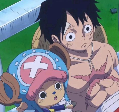 #OnePiece | Luffy and Chopper Icon Luffy And Chopper, Chopper Icon, Whole Cake Island, Whole Cake, Chopper, Cake, Anime, On Instagram, Instagram