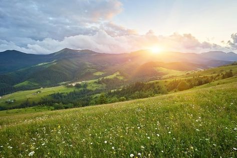 Free photo summer landscape in mountains... | Free Photo #Freepik #freephoto #green-hills #valley #grass-hill #highland Hill Landscape, Background Tree, Trading Business, Landscape Horizontal, Photo Summer, Green Hills, The Blue Sky, Grass Field, Pretty Landscapes