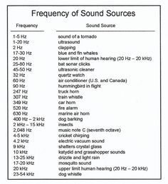 A chart showing the frequency in hertz of various sound sources. Hertz Frequency Chart, Frequencies Chart, Frequency Chart, Raindrop Technique, Amp Settings, Music Is Medicine, Hearing Damage, Sound Frequency, Bird Ideas